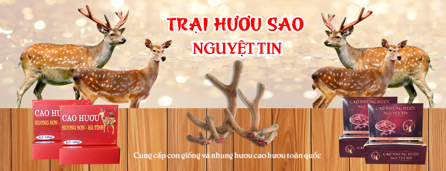 Trại hươu sao Nguyệt Tin